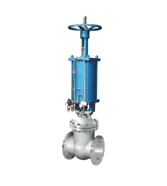 Pneumatic